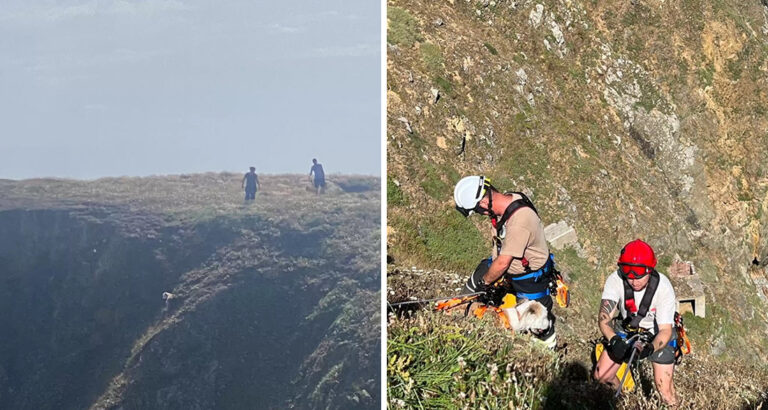 Dog Missing During Hike on Island – Where the Fire Department Finds Him Isn’t for the Faint of Heart