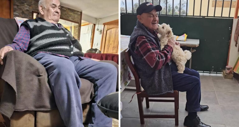 96-Year-Old Man Receives a Little Puppy: This is how Wonderfully the Puppy Changes his Life