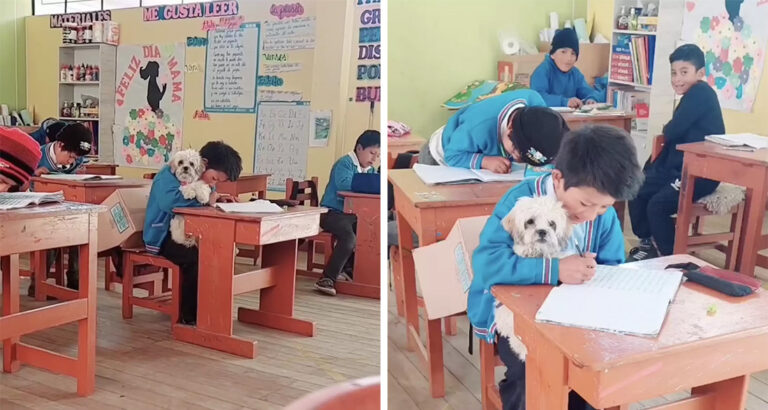 A little boy makes an unusual request to his teacher – what it is, touches the heart deeply