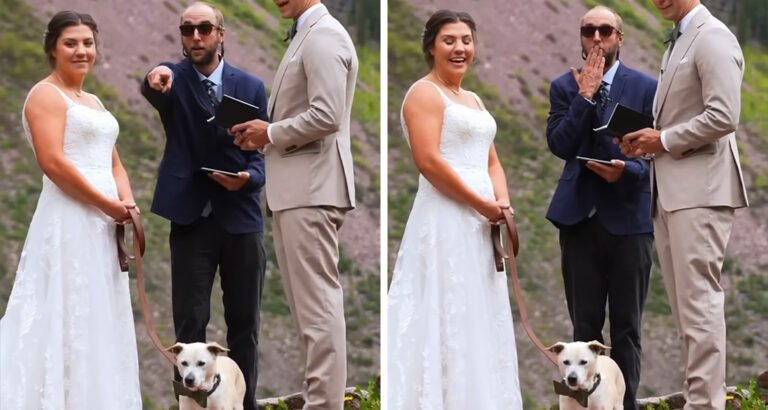 Animal Wedding Guest – This Spectator Makes a Couple’s Ceremony Unforgettable