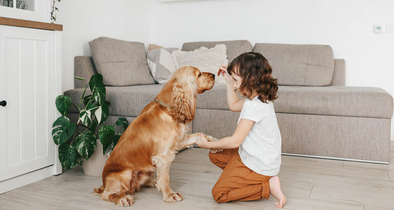 Child and Dog – The Special Relationship