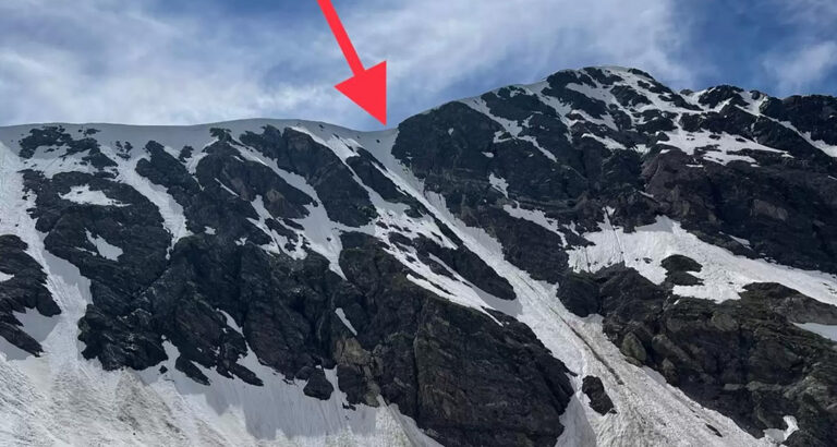 Dog Goes Missing After Mountain Accident – When Rescuers See Where He Is, They’re Left Breathless