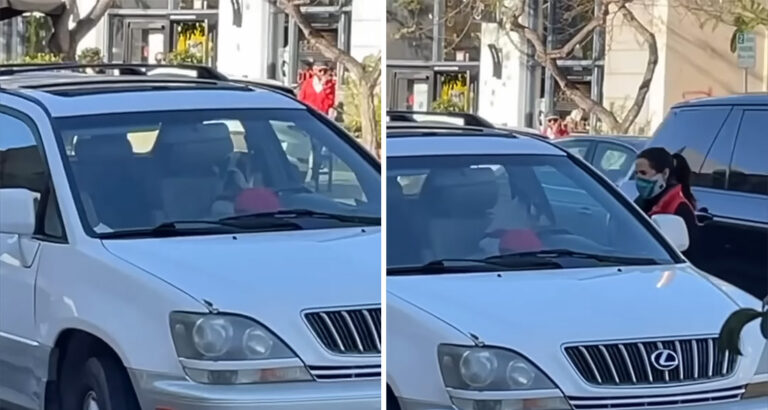 Dog Waits in the Car for Mom – What He Does out of Impatience Will Make You Burst into Laughter