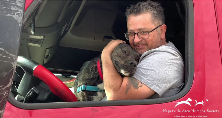 Dog in the Shelter Longs for a Family – Heartwarming Reaction to His New Dad