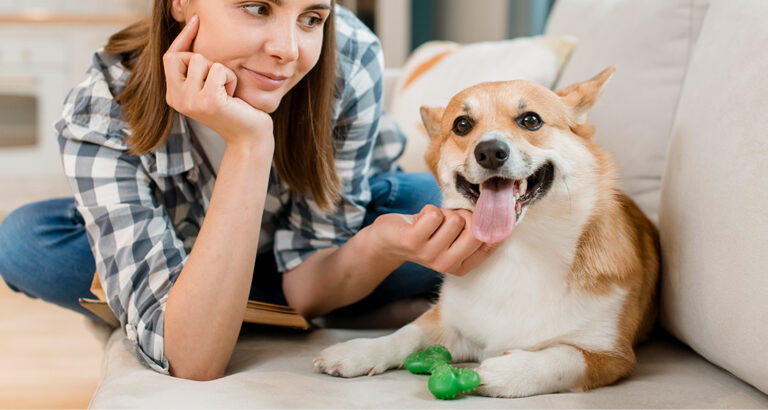 Everything a First-Time Dog Owner Should Know