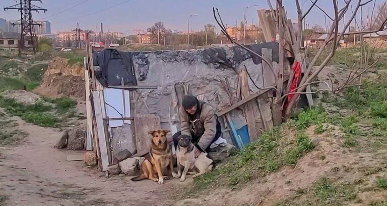 Homeless Man Has Barely Enough to Live – What He Does for 30 Dogs Shows His Golden Heart