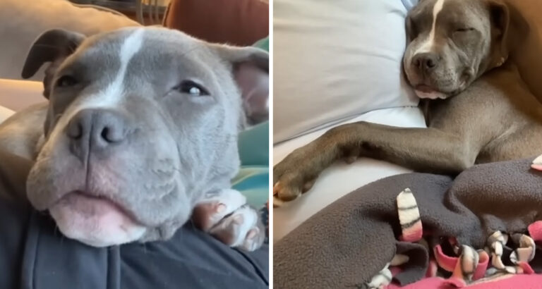 Left with 14 Siblings: Her Gratitude When She Gets Adopted Brings Tears to the Eyes