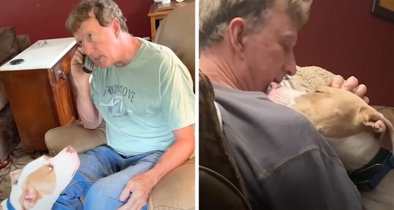 Man rejects daughter’s dog – How the furry one wins his heart is simply adorable