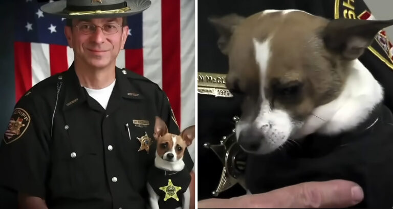 Police Officer Dies of Cancer – Reaction of His Loyal Dog Brings Tears to the Eyes