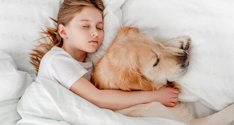 Should You Allow Your Dog to Sleep in Your Bed?