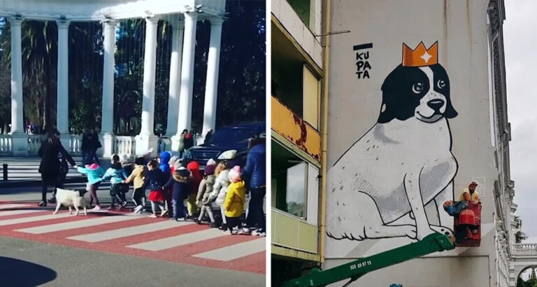 Street Dog Becomes Neighborhood Star: Wins Hearts with Good Deed