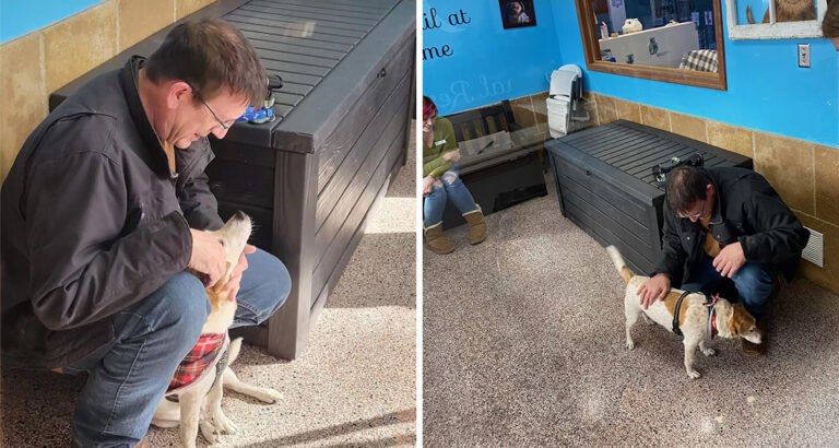 6 Years Apart: Unbelievable How This Dog Reacts When His Dad Holds Him in His Arms