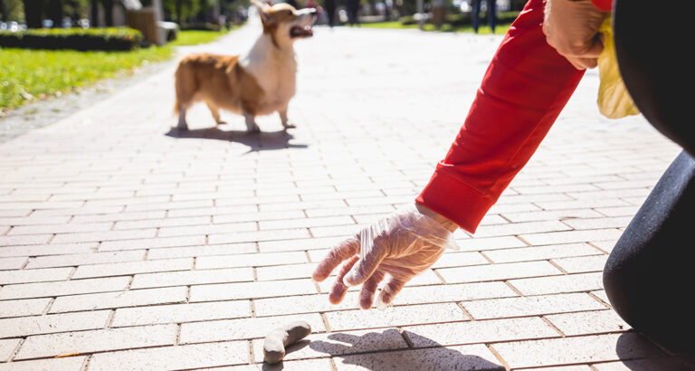 Ways to Make Picking Up Dog Poop More Bearable