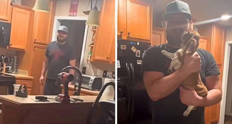 Woman Surprises Man with Puppies, but His Reaction Shocks Her: He Immediately Leaves the House