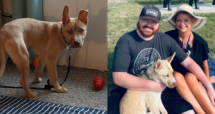 You Filled This Sweet Pup’s Belly With Good Food While He Hunted His Forever Home