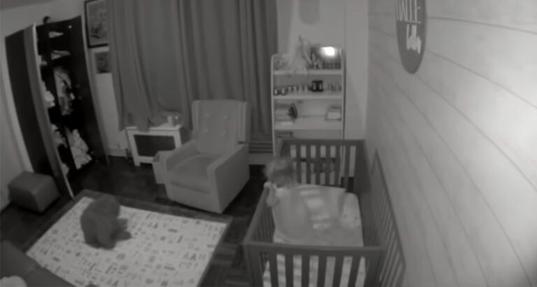 A little girl wakes up crying in the night: How her dog puts her back to sleep is genius