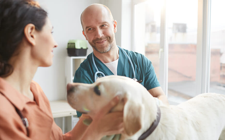 Visit to the Vet