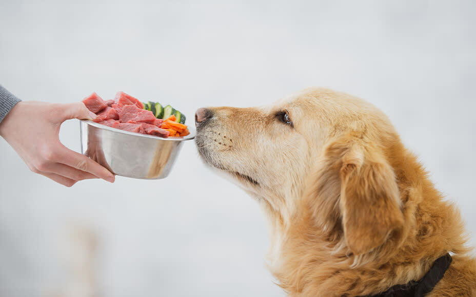 Can Dogs Eat Sweet Potatoes