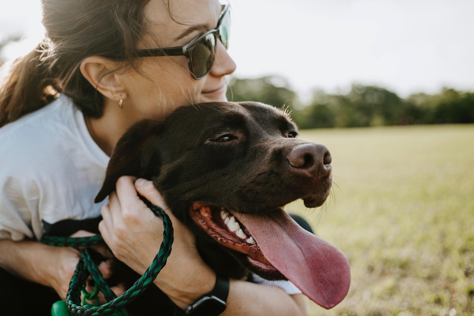 How to Reward a Dog