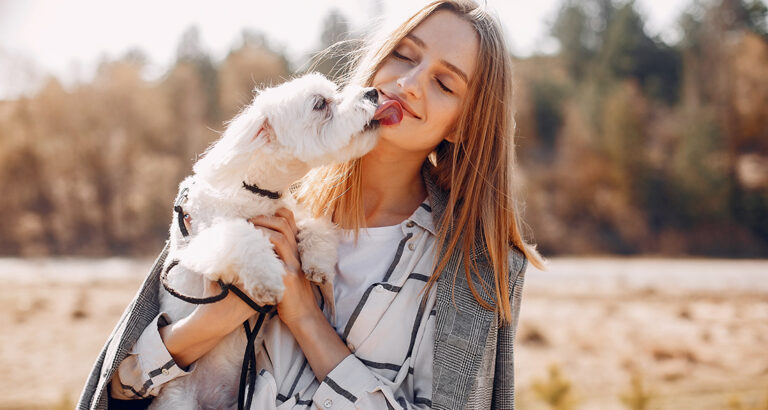 Affectionate Dog Breeds: These 8 Dogs are Sweethearts