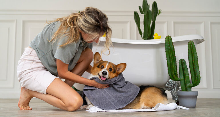 Coat Care for Dogs: Tips for All Fur Types