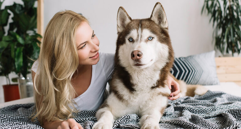 The 10 Most Loyal Dogs in the World