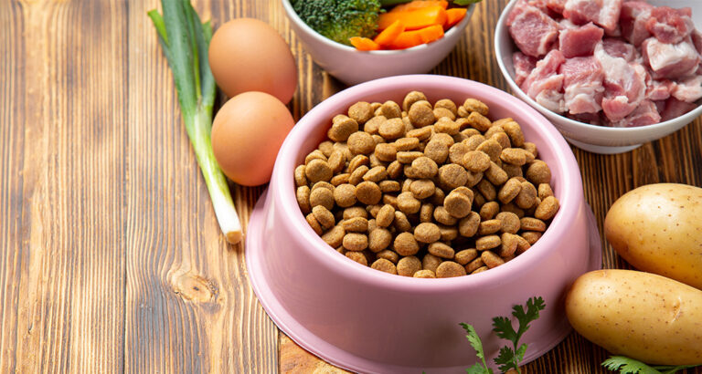 Dog Food Check: This Dog Nutrition keeps them Healthy!