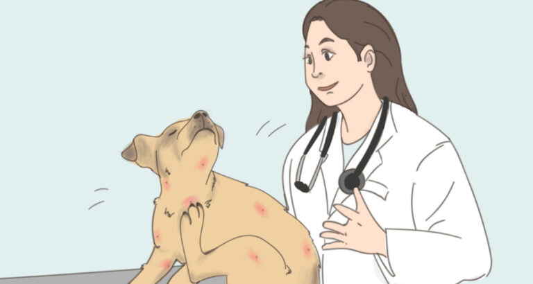 Fleas in Dogs: Symptoms, Treatment, and What You Can Do Against Fleas