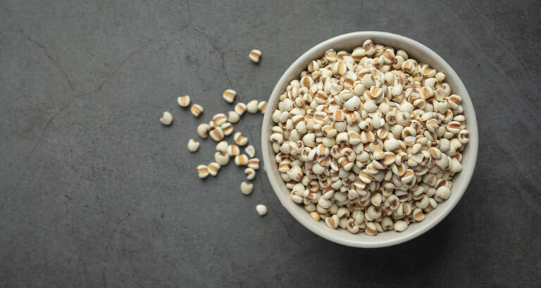 Millet & Millet Flakes for Dogs: How Healthy is the Grain?