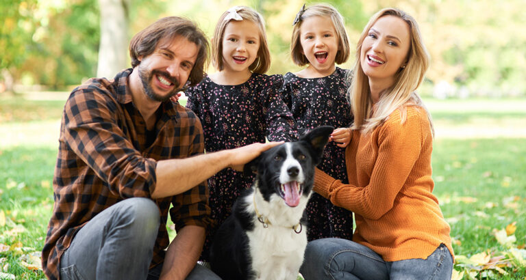 Top 8 of Perfect Family Dogs