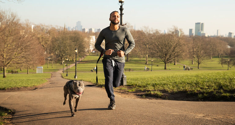 15 Sporty Dog Breeds for Active People