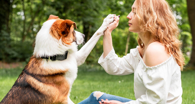 Teaching your Dog “Paw”: Here’s how!