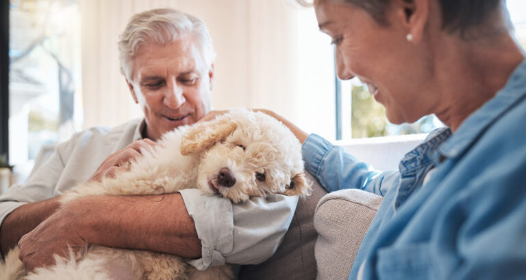 Therapy Dog: Which Breed is suitable and how it contributes to success