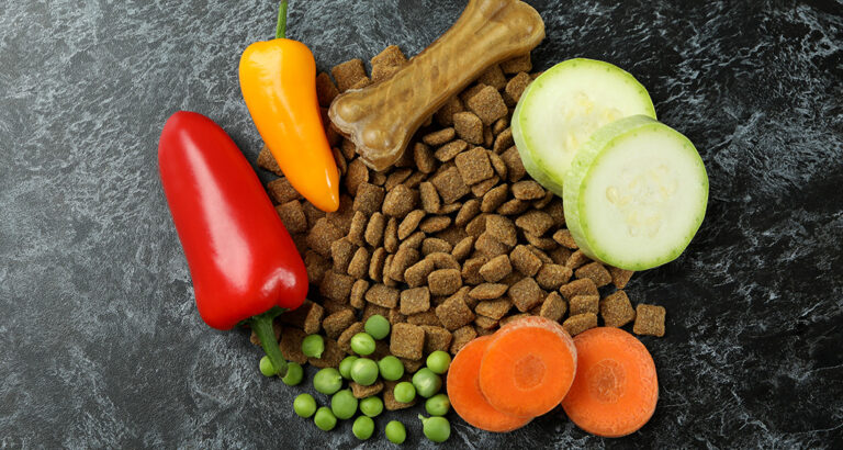 Vegan Dog Food: Can Dogs be fed a Vegan Diet?