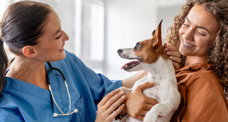 Visit to the Vet – Keeping Your Dog Relaxed