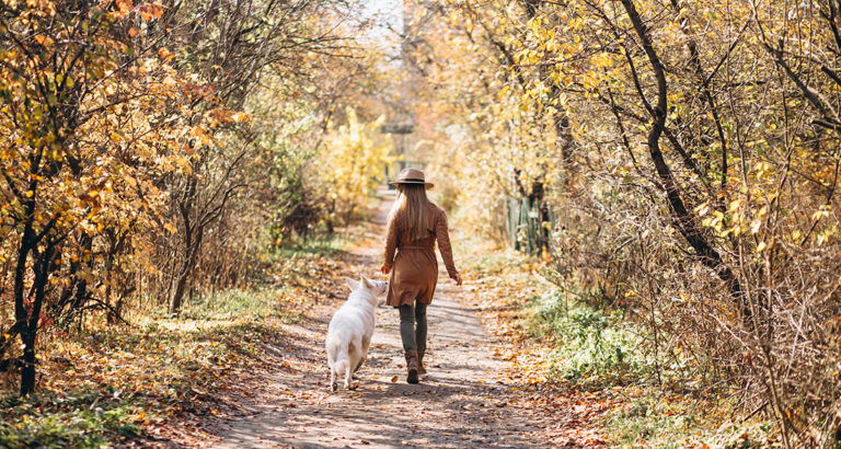 Walking with Dogs in Autumn? Here’s what you should know