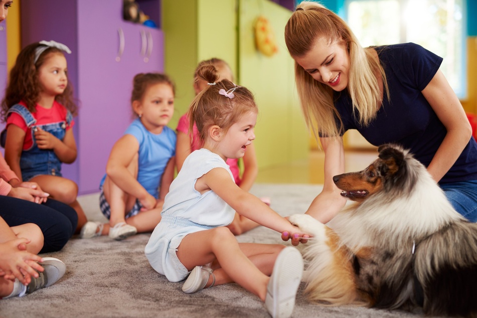 Therapy Dog