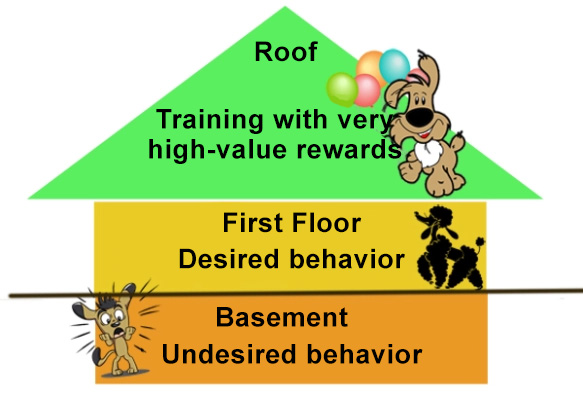 Desensitization and Counterconditioning