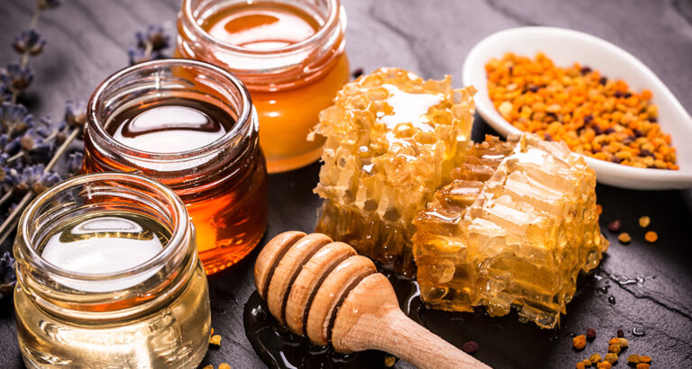 Bee sweet: Can Dogs Eat Honey?