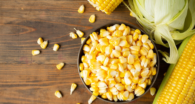 Yellow Power Grain: Can Dogs Eat Corn?