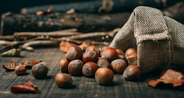 Are Chestnuts Poisonous to Dogs?