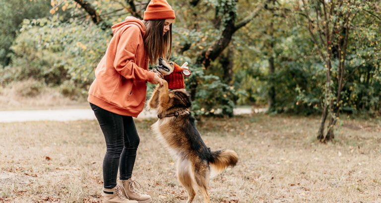 How to Stop Your Dog from Jumping: These Are the Tricks