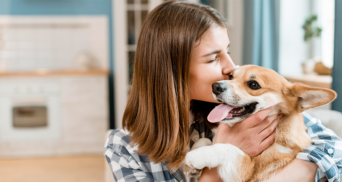 Dog Care – The Ultimate Guide