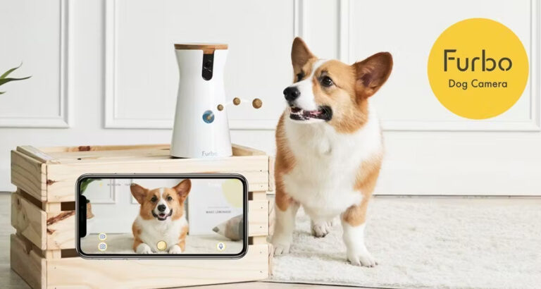 Furbo 360° Dog Camera: Redefining Remote Dog Monitoring