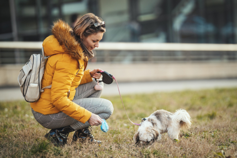 Giardia in Dogs