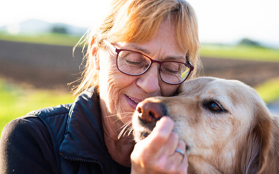 Dementia in Dogs