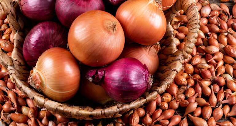 Are Onions Toxic to Dogs?