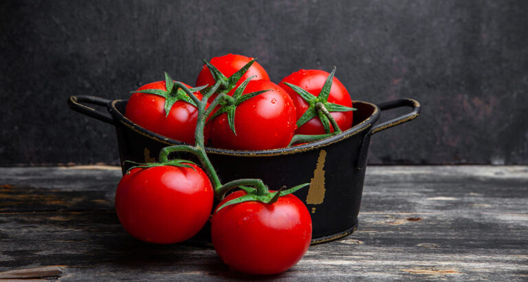 Are Tomatoes Really Toxic for Dogs?