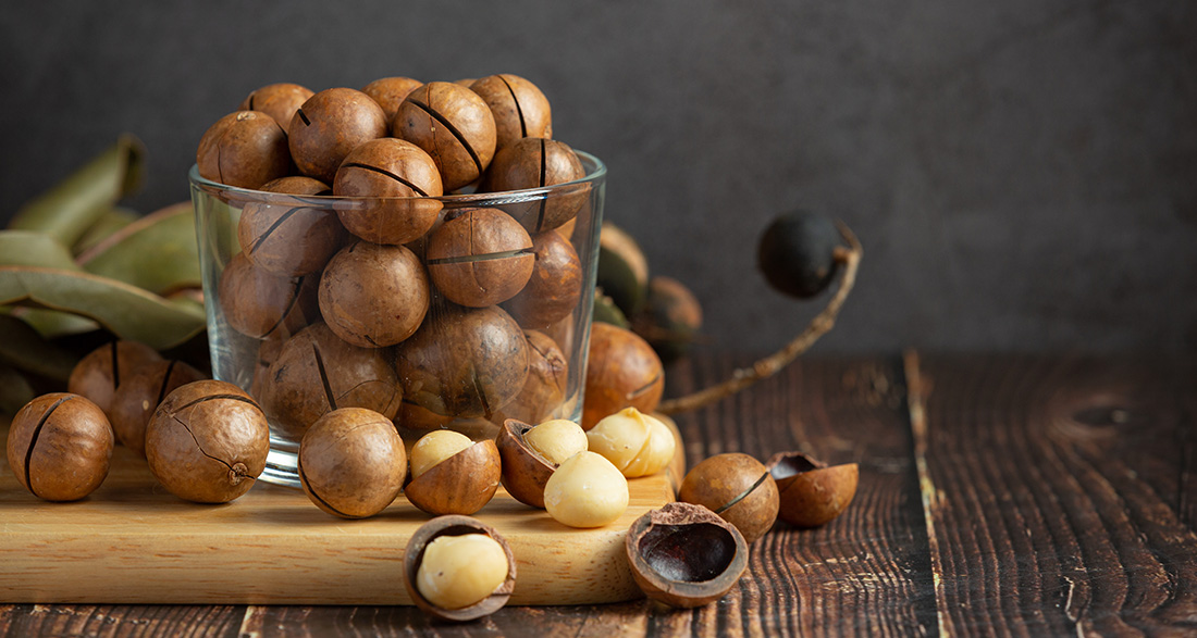 Can Dogs Eat Macadamia Nuts?