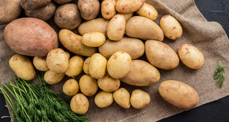 Can Dogs Eat Potatoes? Here’s What You Need to Consider!